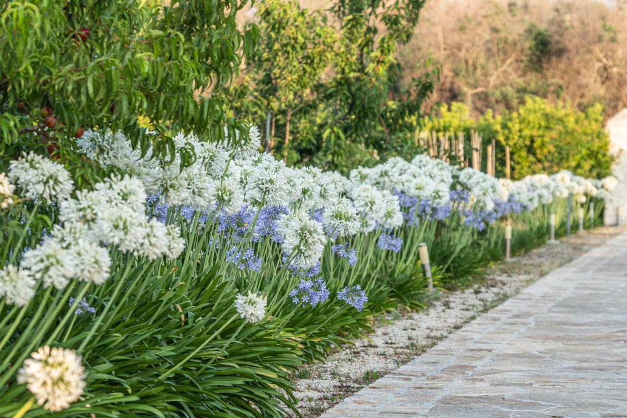 Agriturismo Panacea Санта-Чезареа-Терме Экстерьер фото